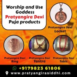 Pratyangira Devi Kit