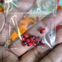 Red Gunja for Diwali Puja